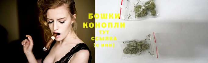 а пвп мука Бородино