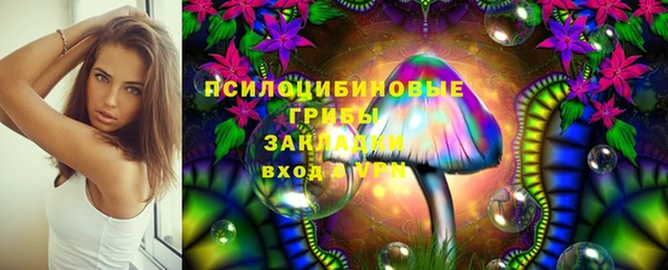 а пвп мука Бородино