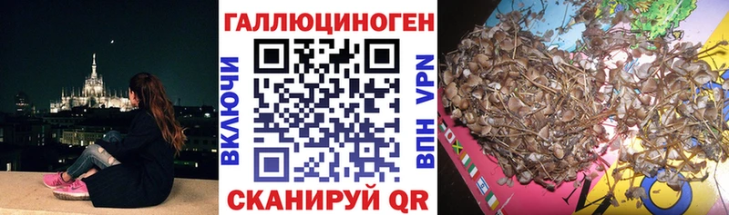 Псилоцибиновые грибы MAGIC MUSHROOMS  OMG ссылки  Ессентукская 