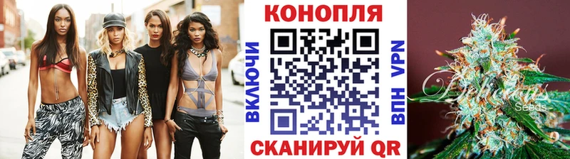 hydra вход  Ессентукская  Конопля сатива  darknet клад  наркота 